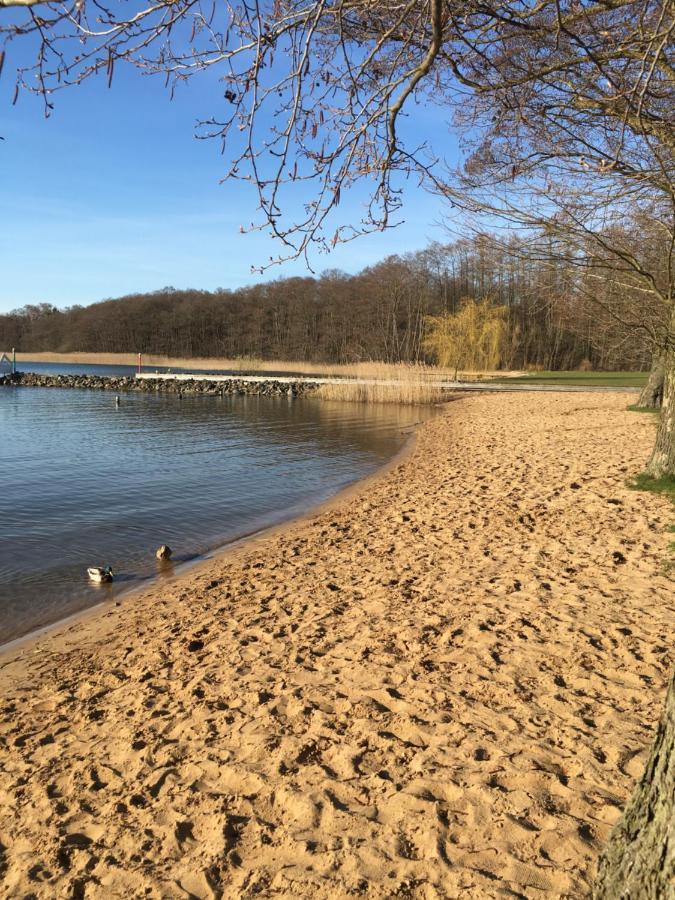 Ferienhaus Mit Bootssteg Am See In Rheinsberg Dış mekan fotoğraf